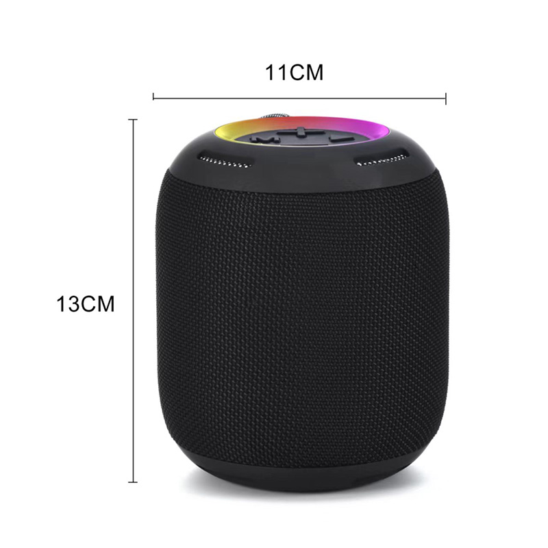 FLS-299 Speaker-10.jpg 